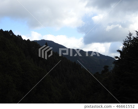 yoshino town, wood, nature 46661552