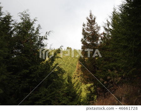 吉野町 當地位置 製作電影的位置 46661728