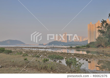 the wetland of Tung Chung bay hk the wetland of Tung Chung bay hk 46662876