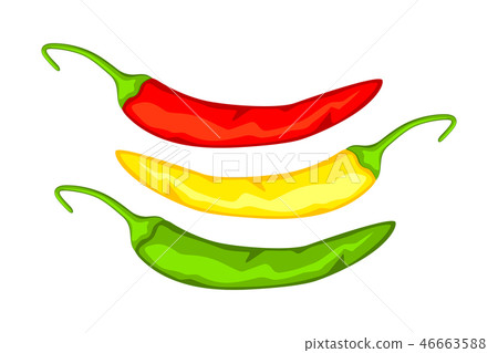 Multicolor cartoon hot chilli pepper. 46663588