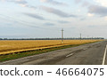 Road along edge of a wheaten field on the blue sky background 46664075