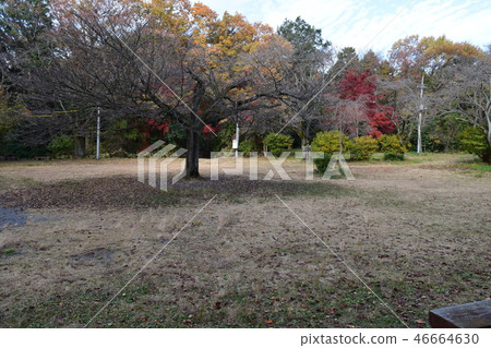 Takiyama城堡遺址(Nakanomaru山) Takiyama城堡遺址(Nakanomaru山) 46664630