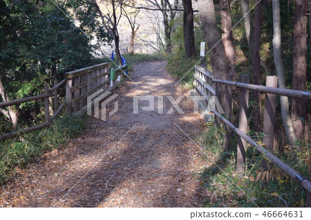 Takiyama城堡廢墟(木橋) Takiyama城堡廢墟(木橋) 46664631