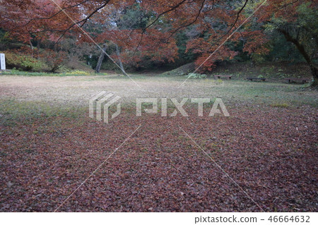 Takiyama城堡遺址(Monmaru Aoi) Takiyama城堡遺址(Monmaru Aoi) 46664632