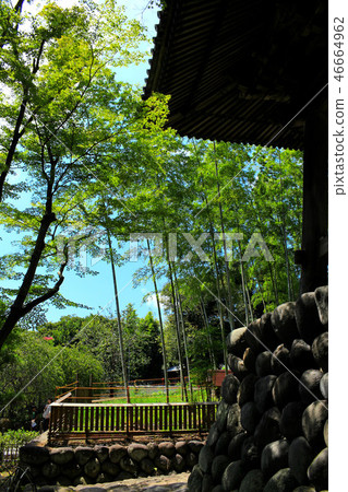 Shuzenji Temple in summer 46664962