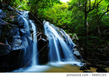 Goldfall Falls 46665103