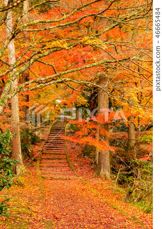 秋天的寺廟 秋天的寺廟 46665484