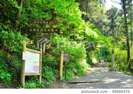 高山自然研究路6號路的新綠和指導委員會 高山自然研究路6號路的新綠和指導委員會 46666476