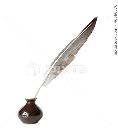 Quill in the inkwell 46666576
