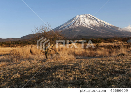 Steppe in the sunset and Mt. Fuji 46666609