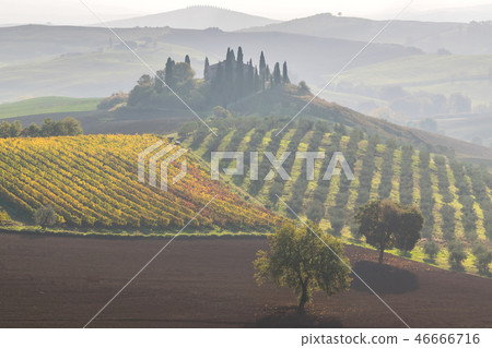 Beautiful landscapes of Tuscany 46666716