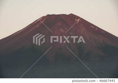 Red Fuji Red Fuji 46667445