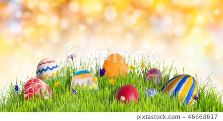 Easter Eggs in Grass Easter Eggs in Grass 46668617