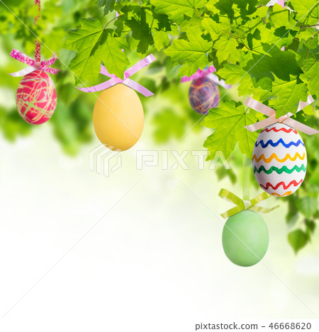 Easter Eggs in Branches 46668620