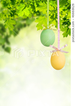 Holiday Easter Background 46668626