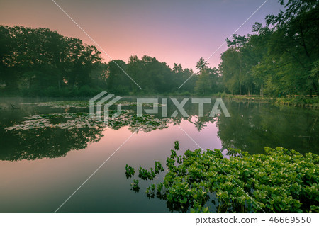 Spring source pond at sunrise Spring source pond at sunrise 46669550