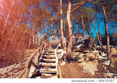 Wooden trail in park in winter 46670387
