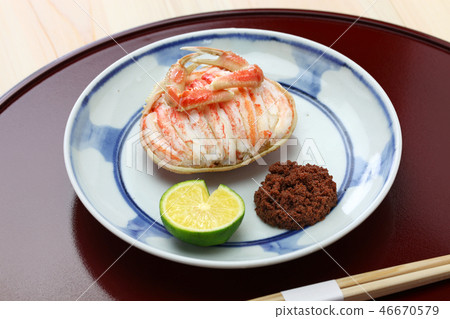 Shellfish of Secogani 46670579