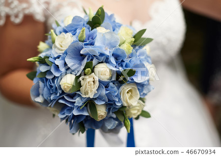 bride holds in her hand a beautiful wedding bouquet of roses and blue hydrangeas bride holds in her hand a beautiful wedding bouquet of roses and blue hydrangeas 46670934