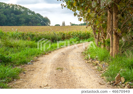 Curved road dirt road to the farm. Curved road dirt road to the farm. 46670949