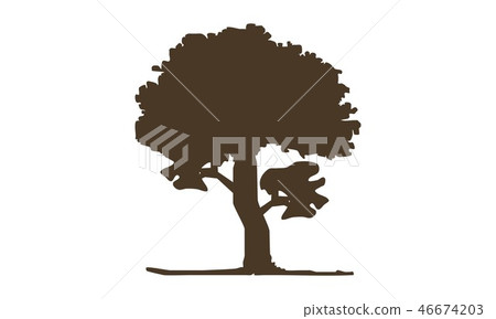 Oak Tree Oak Tree 46674203