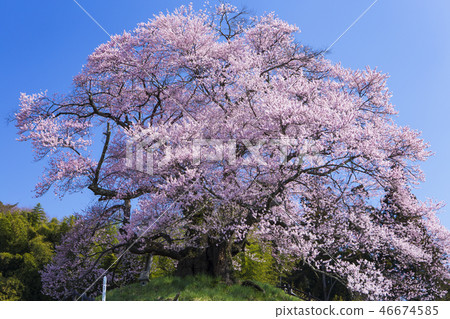 Naohiro Sakura 3中間知識 46674585