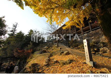Miyajima in autumn 46675421