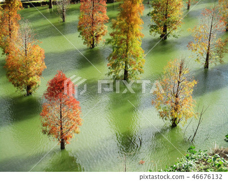 Miaoli Sanwan Lion's Head Mountain Nanzhuang Xianshan Xuejian Zhuolan Miaoli Sanwan Lion's Head Mountain Nanzhuang Xianshan Xuejian Zhuolan 46676132