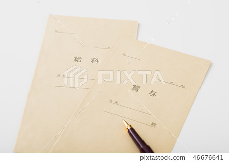 Salary bonus 46676641