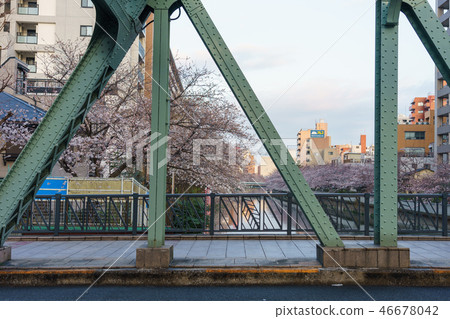 Monzen Nakacho · Edo Fukagawa Sakura Festival 46678042