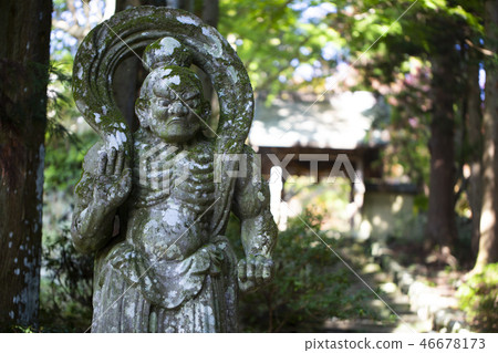 Bokoji Temple Nioh's statue 46678173