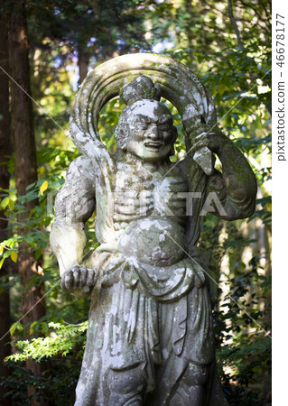 Kunisaki-jima Bokoji Temple Nioh的雕像 46678177