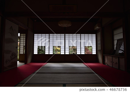 Late autumn Yunlongin 46678736