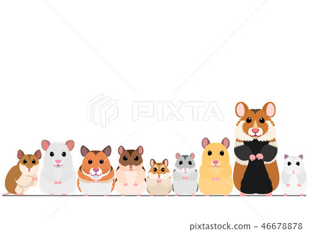 倉鼠親切的邊界 46678878