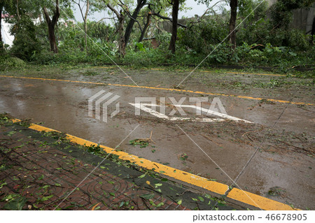 Broken tree fall down block the road  46678905