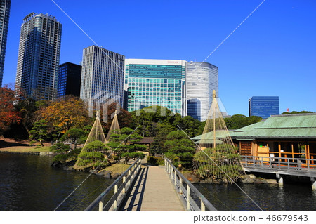 Dec Hamarikyu Garden 52 Snow And Autumn Leaves Stock Photo