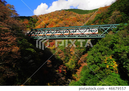 December Hakone 134 Hayakawa Bridge (Ideyama iron bridge) colored leaves and Hakone mountain climbing train 46679557