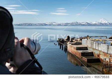 Photographer shoots on camera Steller Sea Lion 46679688