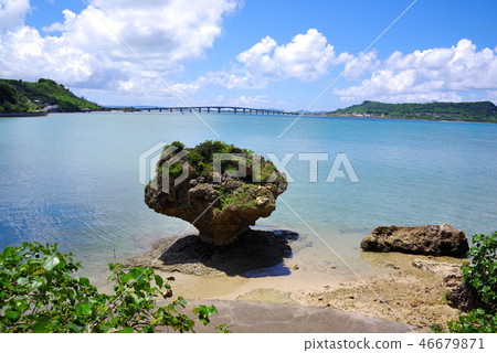 Notch of Okinawa Hamahigajima 46679871