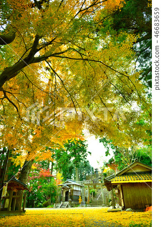 Shion Shiroyama Hiro Tokuji秋葉2018年 46683659