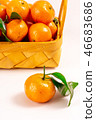 新鮮砂糖橘 46683686