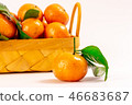 新鮮砂糖橘 46683687