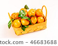 新鮮砂糖橘 46683688