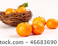 新鮮砂糖橘 46683690