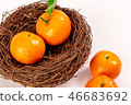 新鮮砂糖橘 46683692