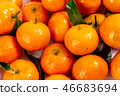 新鮮砂糖橘 46683694