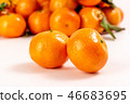 新鮮砂糖橘 46683695