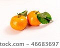 新鮮砂糖橘 46683697