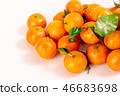 新鮮砂糖橘 46683698