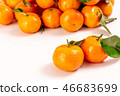 新鮮砂糖橘 46683699